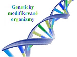 Geneticky modifikovan organizmy Domestikace Petven divoce ijcch druh