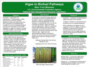 Algae to Biofuel Pathways Marc Yves Menetrez U