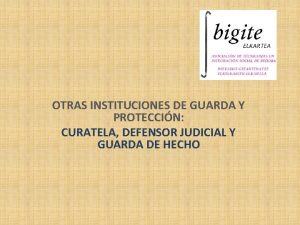 OTRAS INSTITUCIONES DE GUARDA Y PROTECCIN CURATELA DEFENSOR