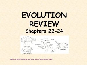 EVOLUTION REVIEW Chapters 22 24 Image from BIOLOGY