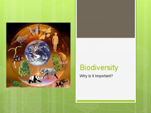 Biodiversity Why is it Important Biodiversity Learning Targets