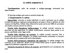 La cellula neoplastica I Trasformazione salto da normale