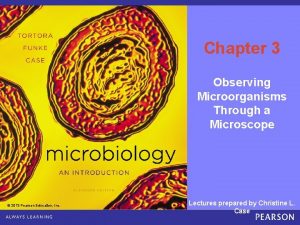 Chapter 3 Observing Microorganisms Through a Microscope 2013