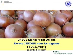 UNECE Standard for Onions Norme CEEONU pour les