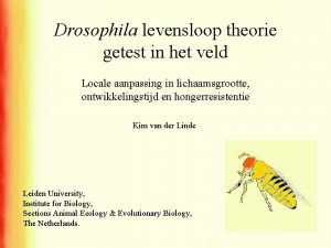 Drosophila levensloop theorie getest in het veld Locale