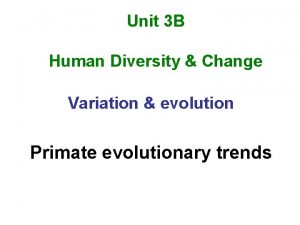 Classification of primates