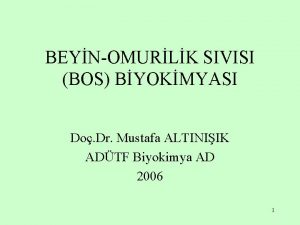 BEYNOMURLK SIVISI BOS BYOKMYASI Do Dr Mustafa ALTINIIK