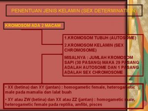 PENENTUAN JENIS KELAMIN SEX DETERMINATION KROMOSOM ADA 2