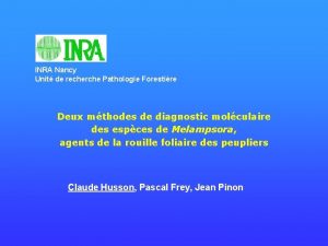 INRA Nancy Unit de recherche Pathologie Forestire Deux