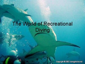 The World of Recreational Diving SCUBA is an