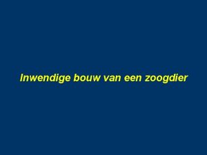 Inwendige bouw van een zoogdier De rat Verhouding