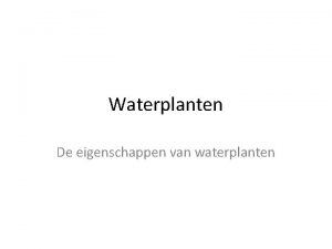 Waterplanten De eigenschappen van waterplanten Verschillende zones Een