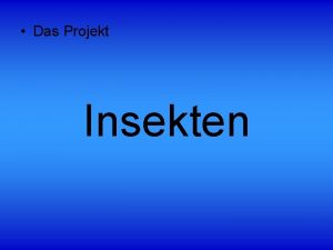 Das Projekt Insekten Inhaltsangabe 1 2 3 4