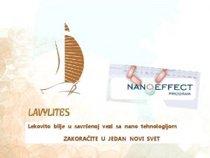 Lekovito bilje u savrenoj vezi sa nano tehnologijom