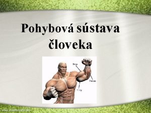 Telove tekutiny biopedia