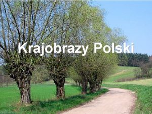 Krajobrazy polski niziny