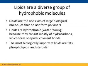 Diverse group of hydrophobic molecules