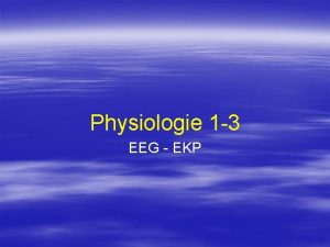 Physiologie 1 3 EEG EKP Aufbau der Grohirnrinde