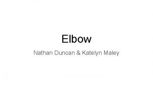 Elbow anatomy