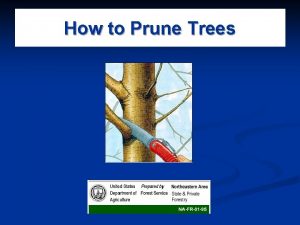 Objective of pruning