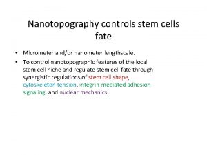 Nanotopography controls stem cells fate Micrometer andor nanometer