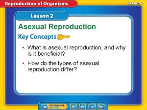 Why is asexual reproduction beneficial Why is asexual reproduction beneficial