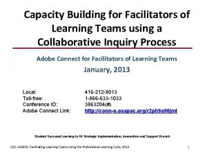 Capacity Building for Facilitators of Learning Teams using