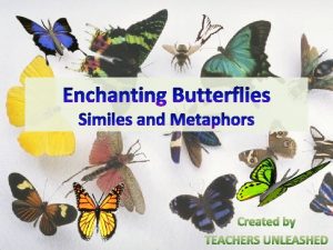 Butterfly simile examples