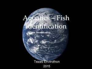 Aquatics Fish Identification Texas Envirothon 2015 Texas Edwards