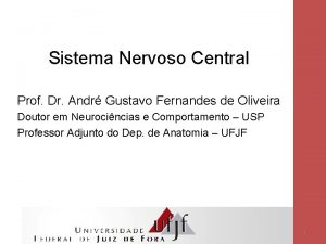 Sistema Nervoso Central Prof Dr Andr Gustavo Fernandes