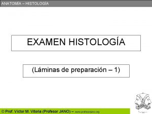 ANATOMA HISTOLOGA EXAMEN HISTOLOGA Lminas de preparacin 1