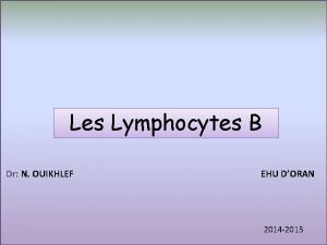 Les Lymphocytes B Dr N OUIKHLEF EHU DORAN