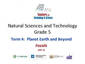 Grade 5 term 4 natural science