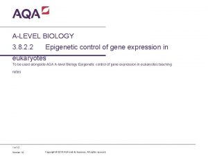 ALEVEL BIOLOGY 3 8 2 2 Epigenetic control