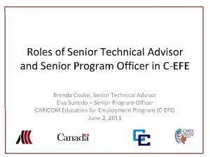 Senior technical advisor Senior technical advisor