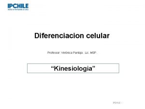 Diferenciacion celular Professor Vernica Pantoja Lic MSP Kinesiologia