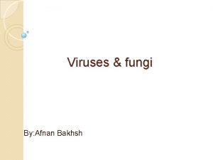 Viruses fungi By Afnan Bakhsh Fungi Mycology study