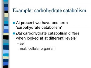 Example carbohydrate catabolism n At present we have