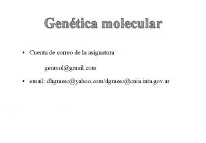 Gentica molecular Cuenta de correo de la asignatura