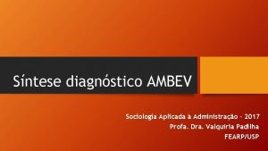 Sntese diagnstico AMBEV Sociologia Aplicada Administrao 2017 Profa