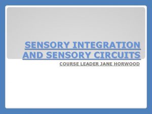 SENSORY INTEGRATION AND SENSORY CIRCUITS COURSE LEADER JANE