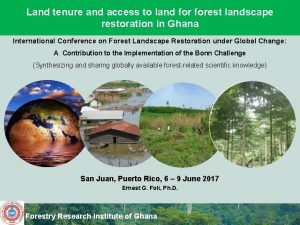 Land tenure and access to land forest landscape