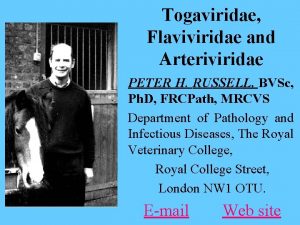 Togaviridae Flaviviridae and Arteriviridae PETER H RUSSELL BVSc