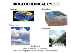 BIOGEOCHEMICAL CYCLES Biosphere Lithosphere Atmosphere Hydrosphere Reeda Hart