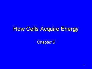 How Cells Acquire Energy Chapter 6 1 Carbon