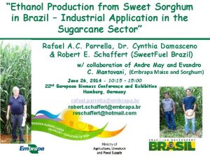 Ethanol Production from Sweet Sorghum in Brazil Industrial