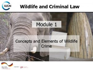 Wildlife and Criminal Law Module 1 Concepts and