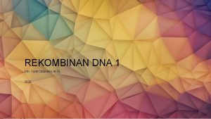 Dna rekombinan