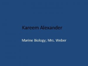 Kareem Alexander Marine Biology Mrs Weber The Topics