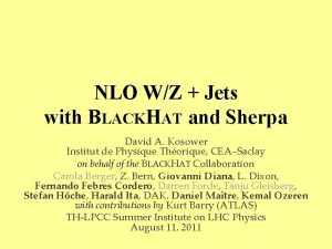 NLO WZ Jets with BLACKHAT and Sherpa David